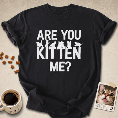 Black colored Comfort Colors 1717 cotton T-shirt, featuring a "Are You Kitten Me?" funny cat design illustration. One Meow Two Souls brand.