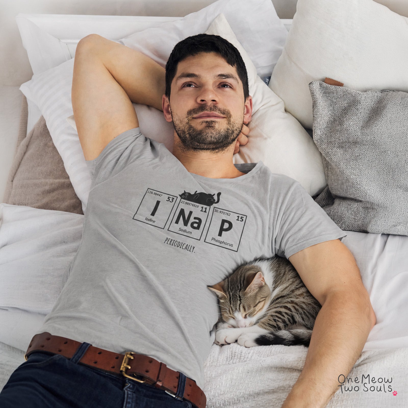 Grey colored Comfort Colors 1717 cotton T-shirt, presenting a "UI Nap, Periodically." funny cat chemistry design. One Meow Two Souls brand.