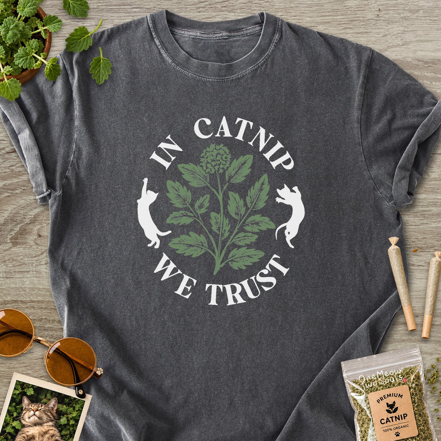 Pepper colored Comfort Colors 1717 cotton T-shirt, featuring a "In Catnip We Trust" funny cat design illustration. One Meow Two Souls brand.